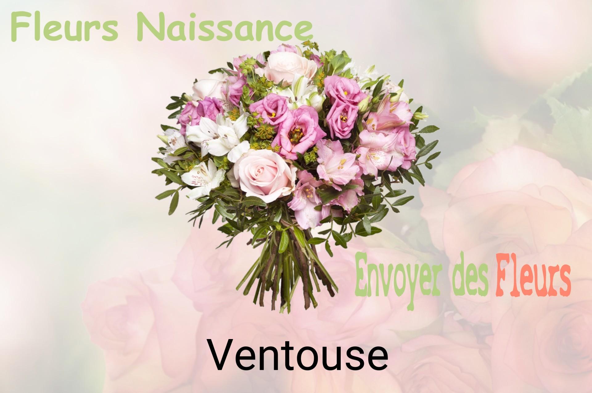 Bouquet de fleurs de naissance livré à Ventouse