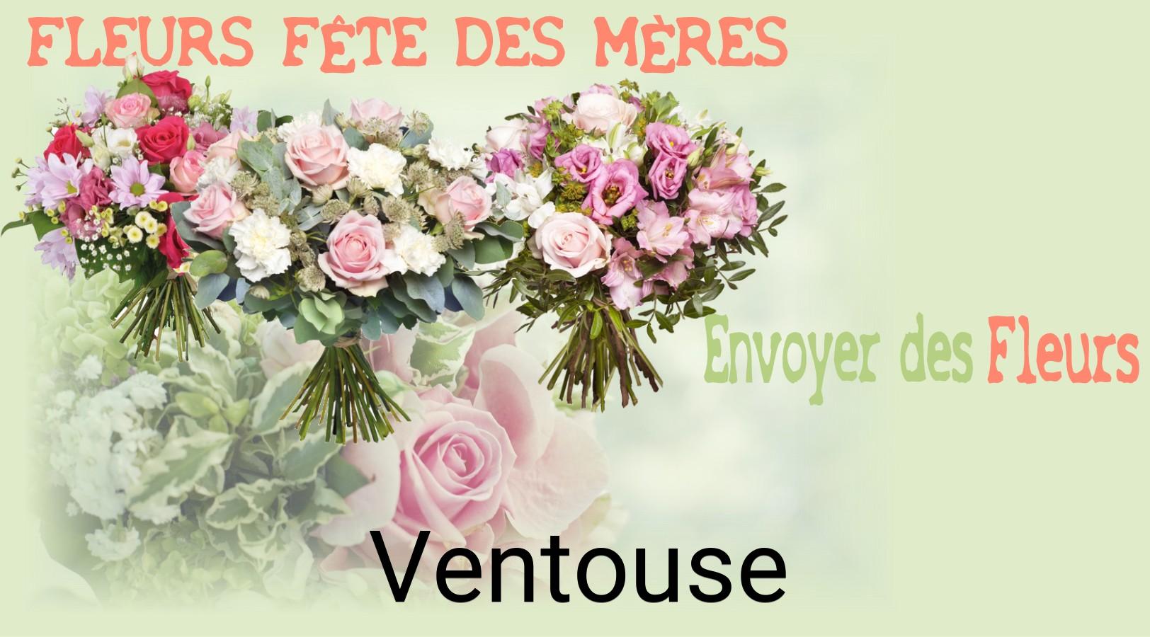 Bouquet de Fête des Mères livré à Ventouse